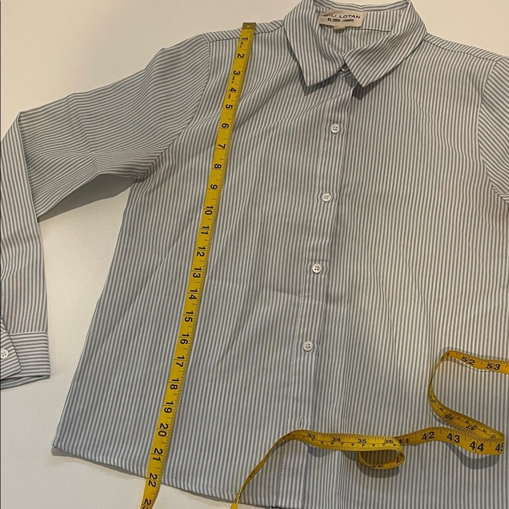 Nili Lotan Raphael Blue and White Striped Button DownTop XS - Picture 4 of 5
